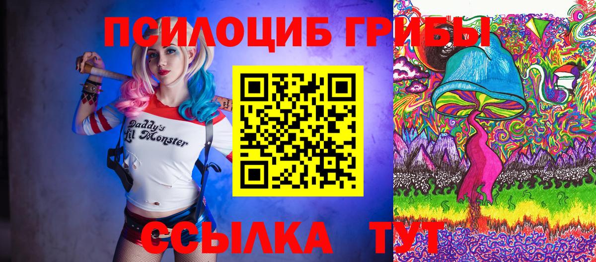 Псилоцибиновые грибы Psilocybine cubensis Березники