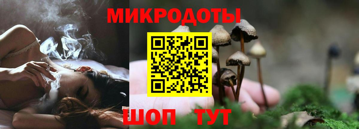 Псилоцибиновые грибы Psilocybine cubensis  Вход с VPN  Березники  купить закладку  Псилоцибиновые грибы Magic Shrooms 